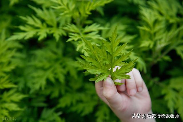 2020端午节包粽子的心情说说