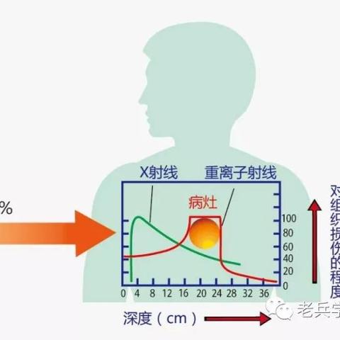 淄博市和兰州市哪个好
