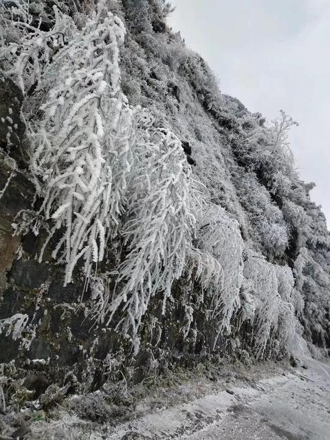 2021的第一场雪怎么发朋友圈