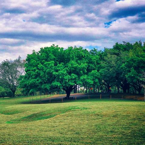 深圳市现在怎么样啊疫情