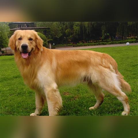 长沙市哪个医院费用低点