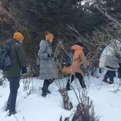 哈尔滨东北虎园在哪相关长尾关键词有哪些