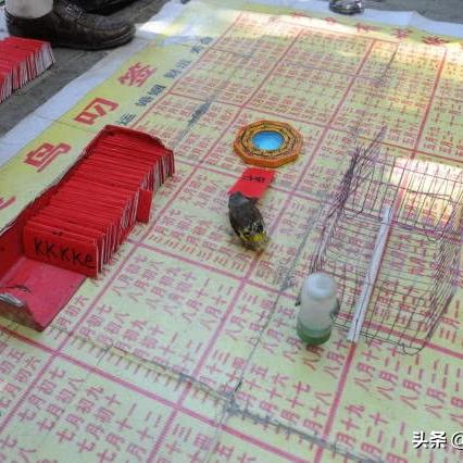 观音灵签第八十六签：平步青云的吉兆解读