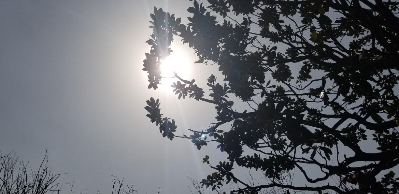 苏州疫情地图
 ,苏州疫情地图实时更新