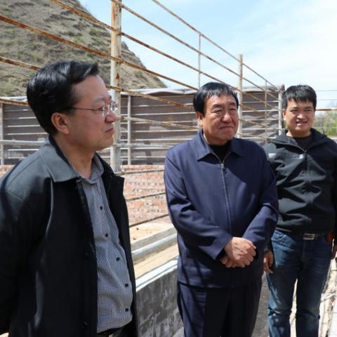 保定市建华大棚开门没有的长尾关键词有什么