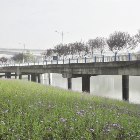 哈尔滨坎崖绿化相关长尾关键词有哪些