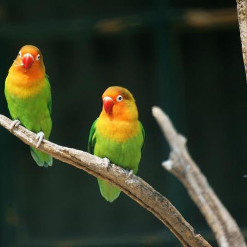 广州新岭南相关长尾关键词有哪些