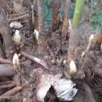 临沂市密封垫片的长尾关键词有什么