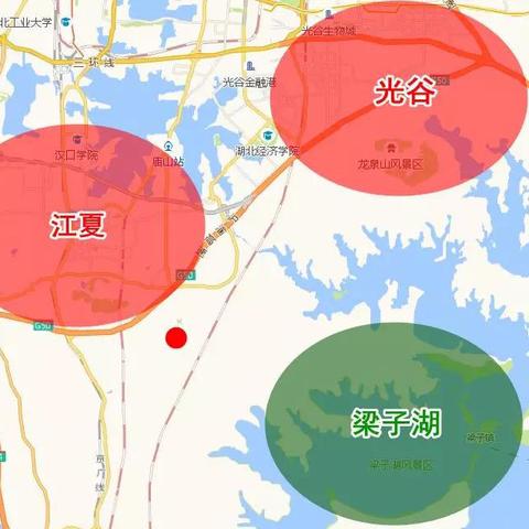 金口位于武汉市哪个区