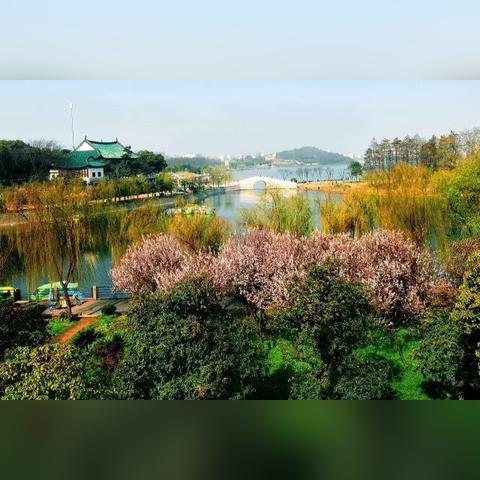 长沙野餐月湖公园相关长尾关键词有哪些