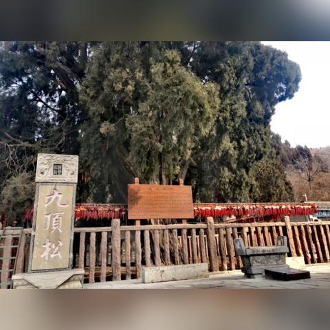 济南的塔叫什么？