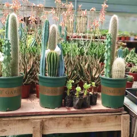 宁波市夏天有什么好玩的