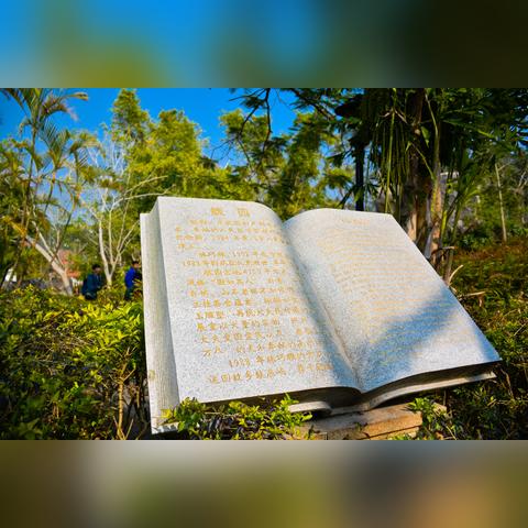 厦门鼓浪屿船票来迟了的相关长尾关键词有哪些