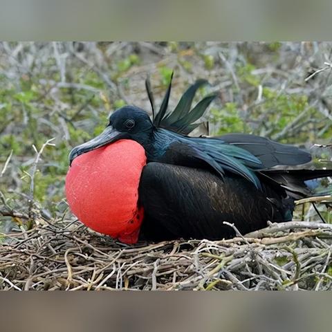 佛山市哪里摆地摊架子多