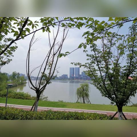 成都市三圈房价的长尾关键词有什么