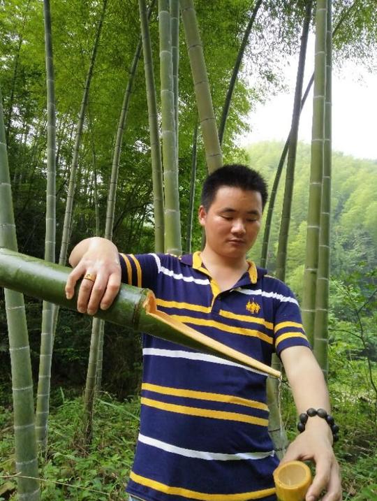打工多年的2位小伙回农村创业，种植生态竹酒，一年销2万瓶