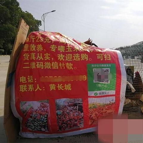 南宁市公交车怎么支付
