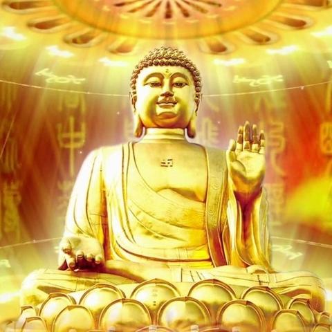 天津广积德怎么样