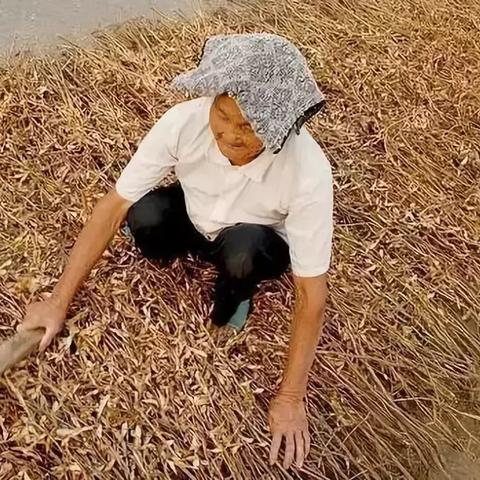 保定市大豆油的长尾关键词有什么