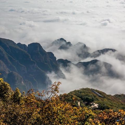 保定市第二十二中学的长尾关键词有哪些