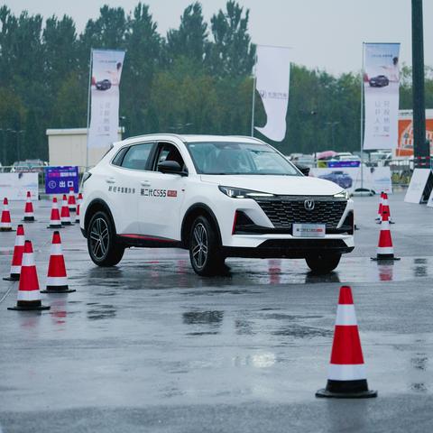 石家庄市真人cs在哪里