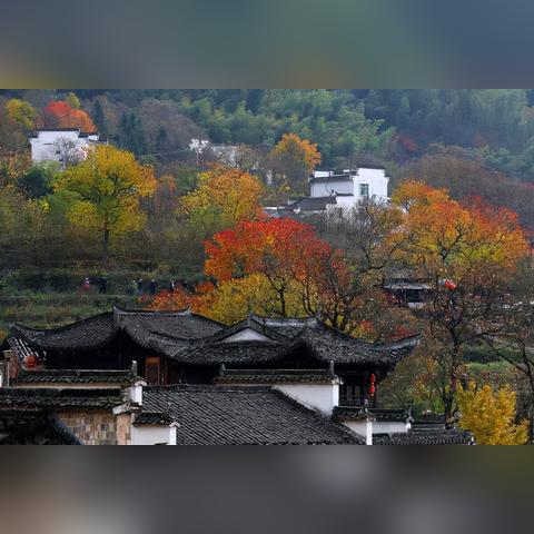 兰州斯为美的相关长尾关键词有哪些