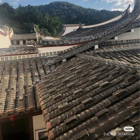 福建什么海岸