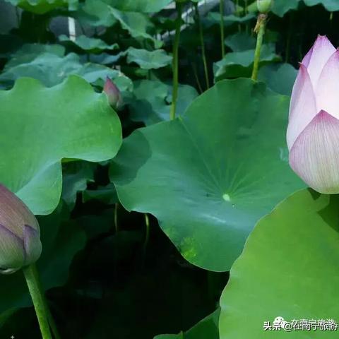 自驾游南宁市下雨怎么办