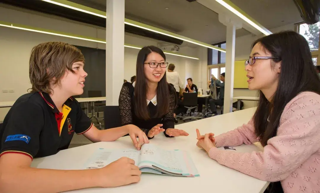 temu发货时产品需要全英文吗 lazada售前需要全英文吗