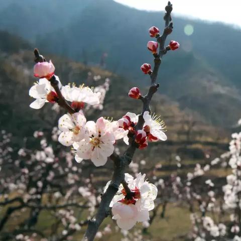 北京天气平谷天气预报的长尾关键词有什么