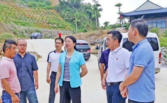 泉州市洛江区区长颜丽明到罗溪镇重点检查脱贫攻坚、乡村振兴及防汛工作