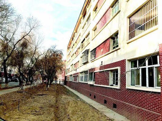 石河子工程职业技术学院(石河子大学级别)