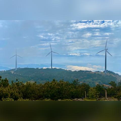 宁波市山什么价