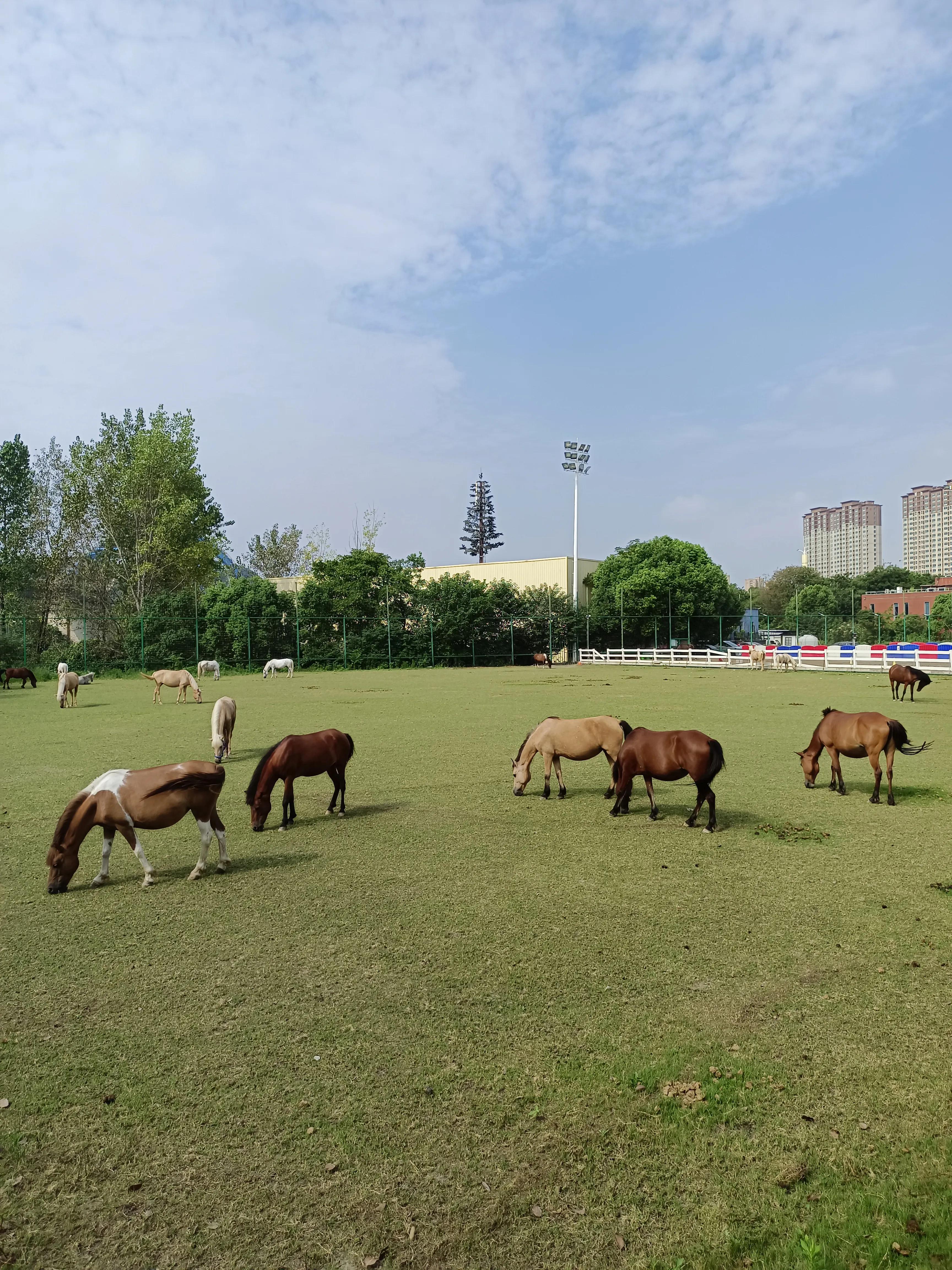 南京疫情已蔓延15省
,南京疫情已经蔓延15省-图1 南京疫情已蔓延15省
,南京疫情已经蔓延15省-图1