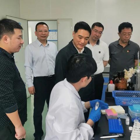 福建沙县在哪个省哪个市