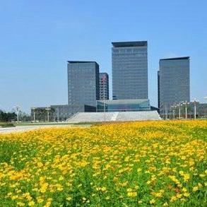 市府沈阳相关长尾关键词有哪些
