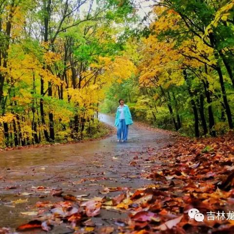 佛山市龙湾大桥连接哪里