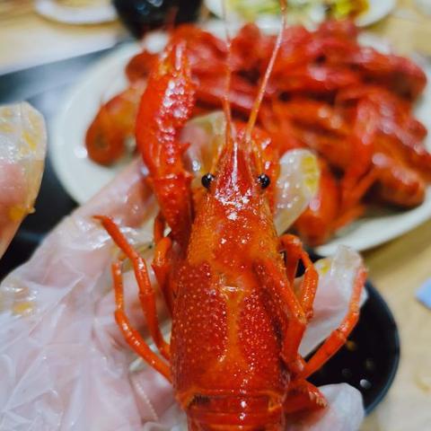 石家庄市批发龙虾电话的长尾关键词有哪些