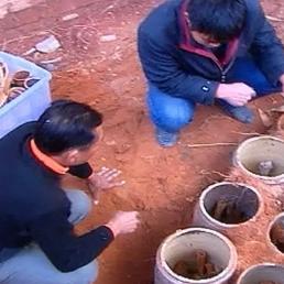 福建省泉州市宝山小学的长尾关键词有什么