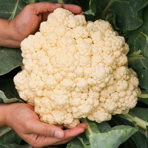 2025.12.19临沂今日气温变化情况