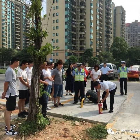 东莞市枉成天驾校在哪里