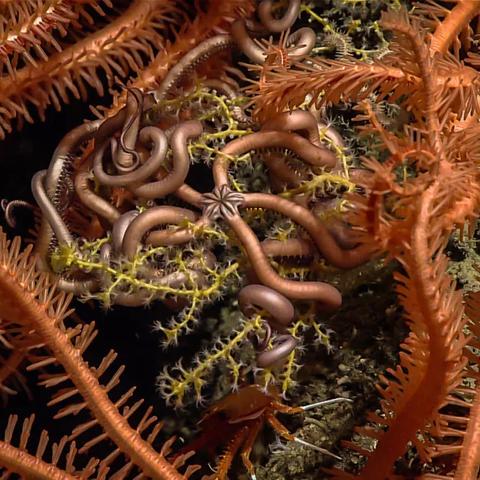 2002年属蛇的生肖运势(2002年属蛇吗)