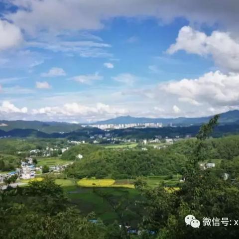 武汉市的物产是什么