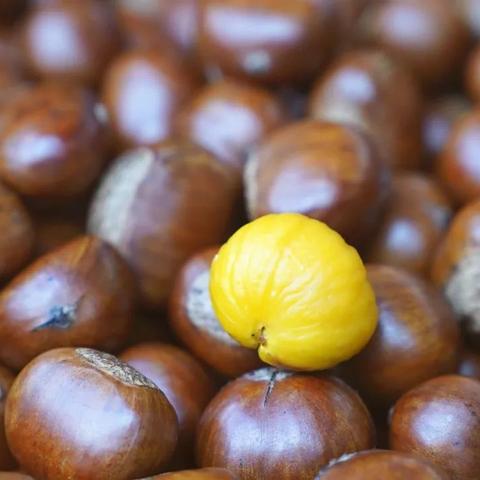 无锡市食品冷库在哪里啊