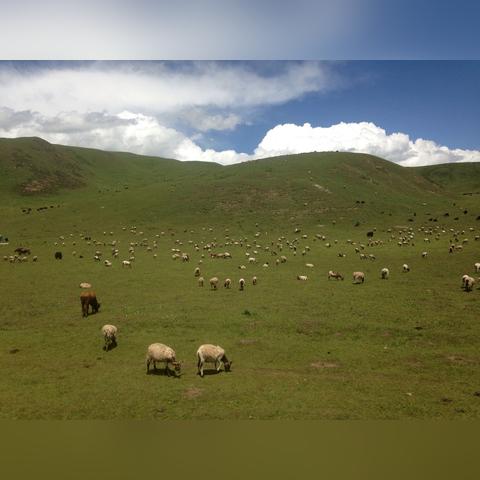 西安市怎么放暑假