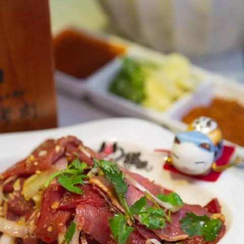 长沙24小时宠物医院相关长尾关键词有哪些