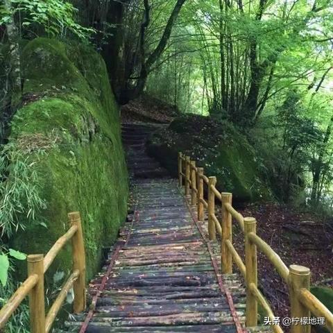 武汉天河机场到云雾山是高速吗？