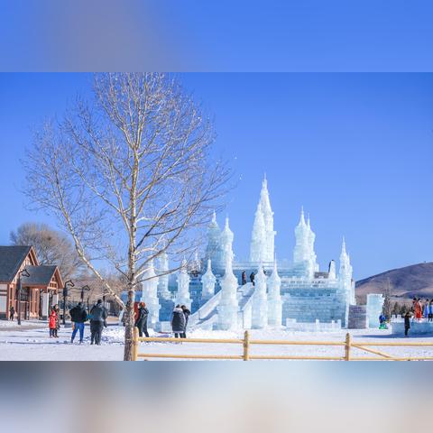 哈尔滨上学路上冰凌到不到学校怎么办？