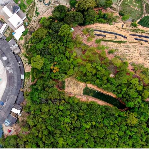 饶平和福建哪个发达