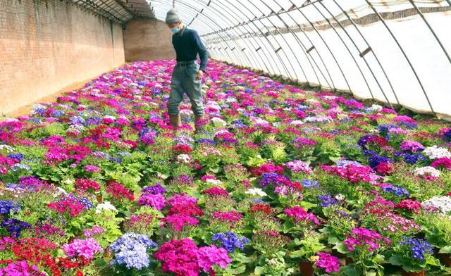 【5日河北疫情速报
 ,5日河北疫情速报最新】